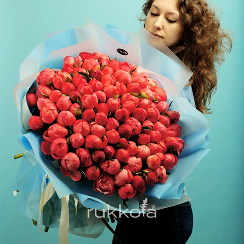 101 коралловый пион