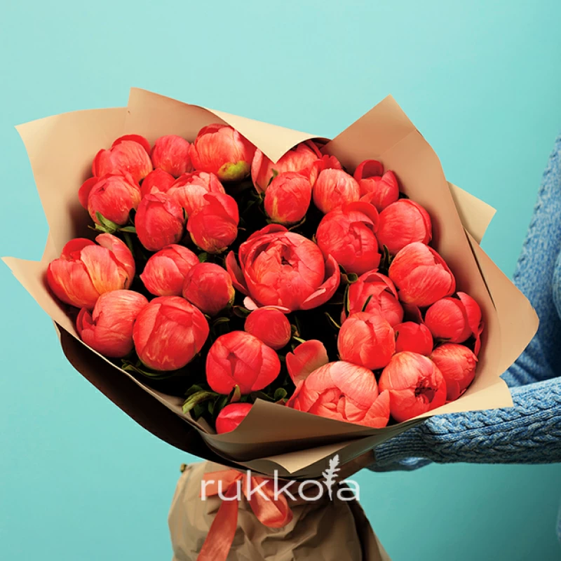 19 коралловых пионов