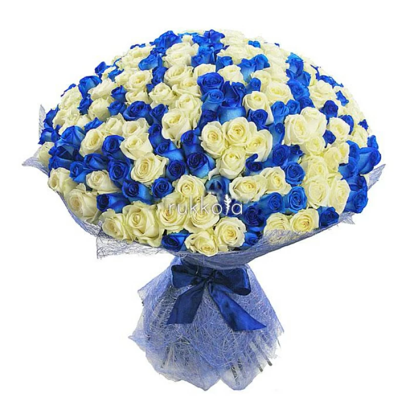 201 синяя и белая роза