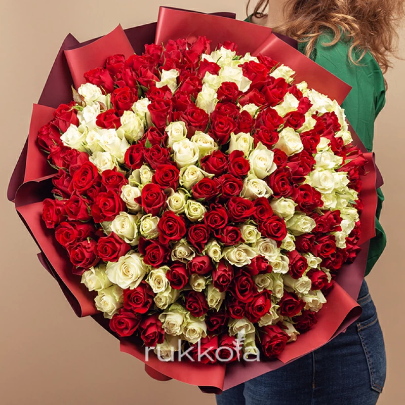 201 красная и белая роза (Кения)