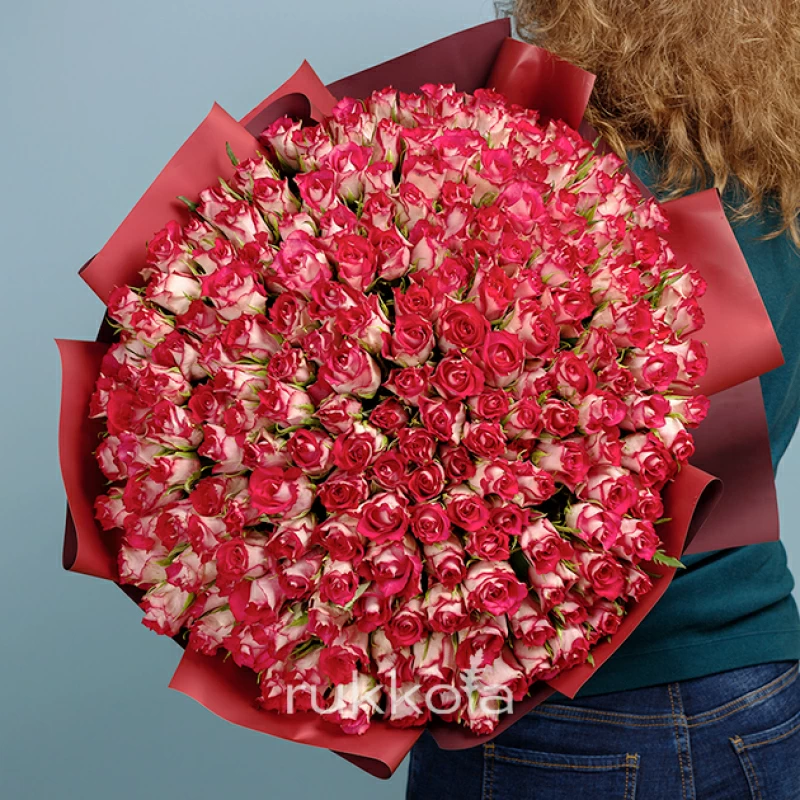 201 темно-розовая роза (Кения)