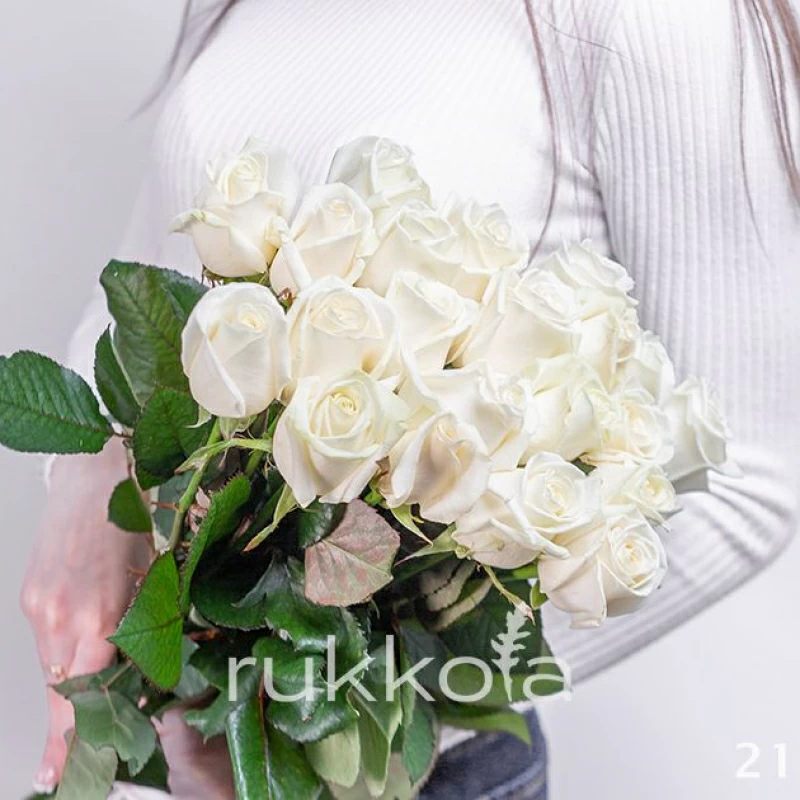 21 белая роза