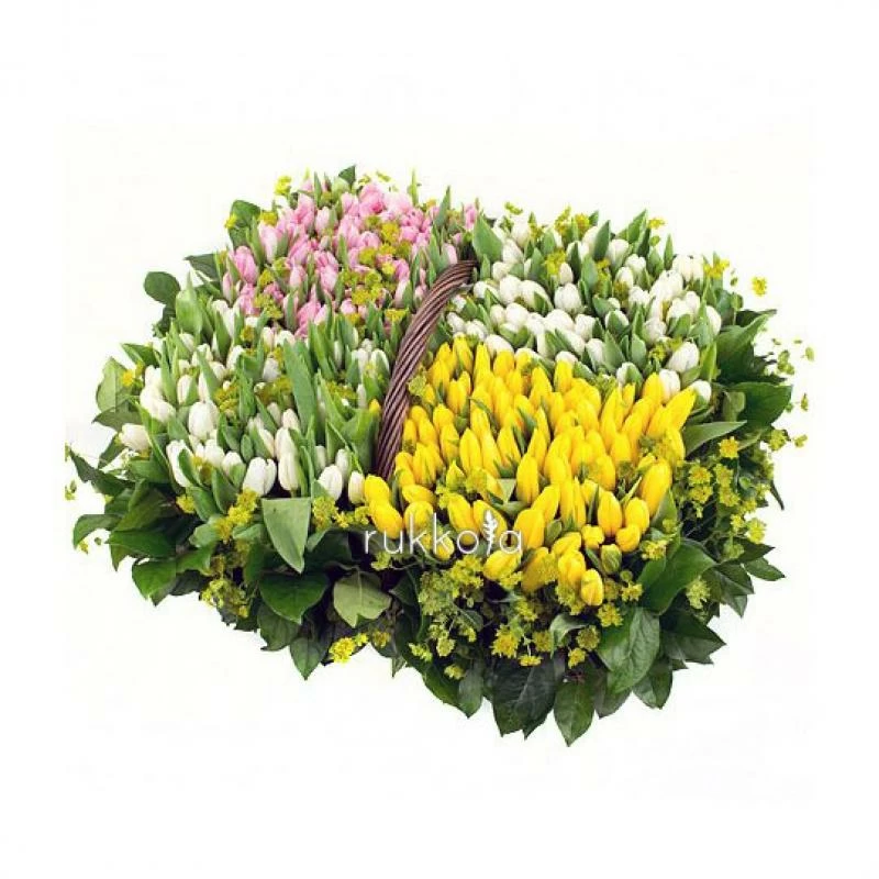 251 тюльпан в корзине