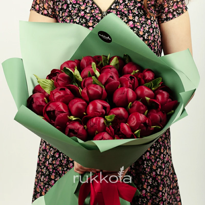 25 бордовых пионов