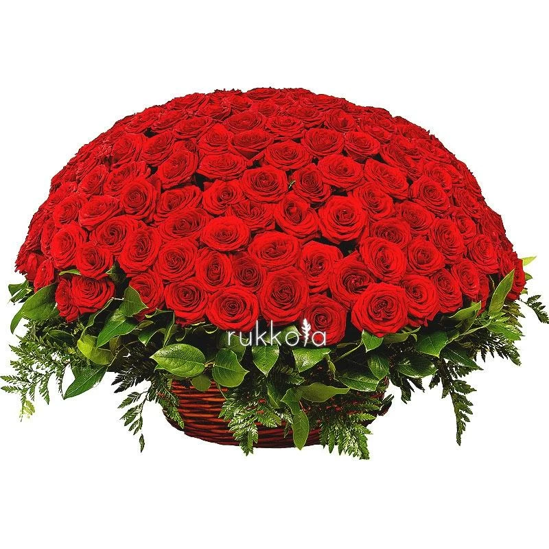 201 красная роза в корзине