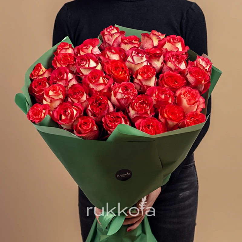 31 красно-белая роза Игуана (Эквадор)