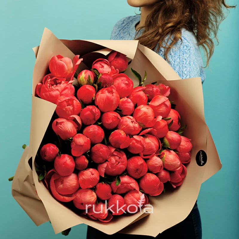 31 коралловый пион