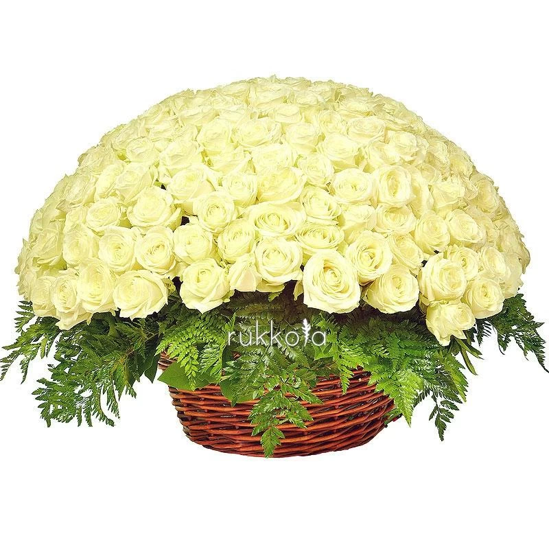 201 белая роза в корзине