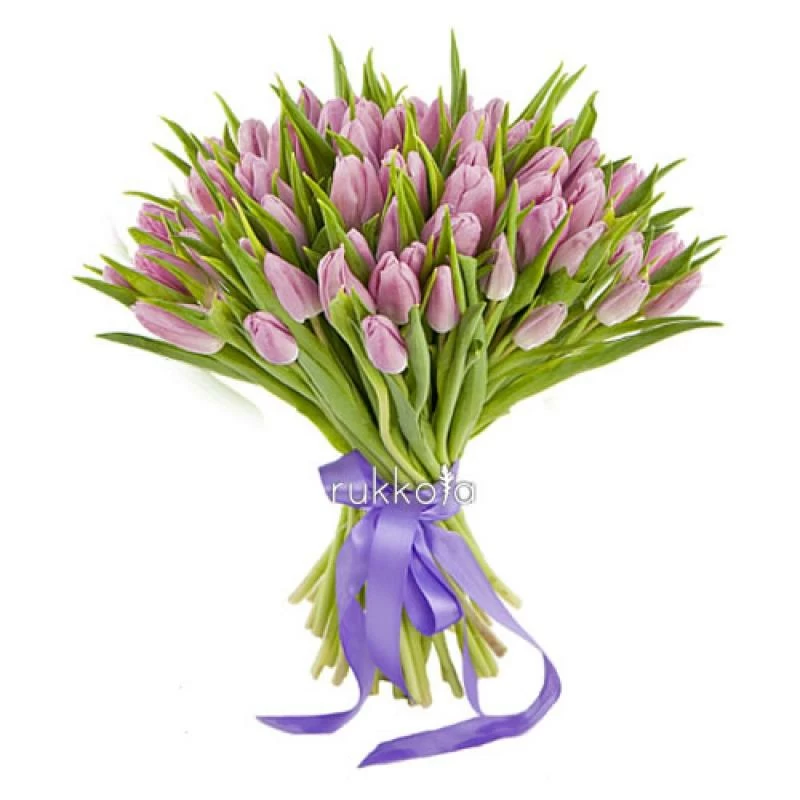 51 лавандовый тюльпан