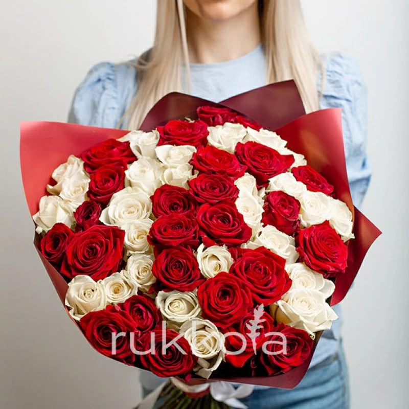51 красная и белая роза