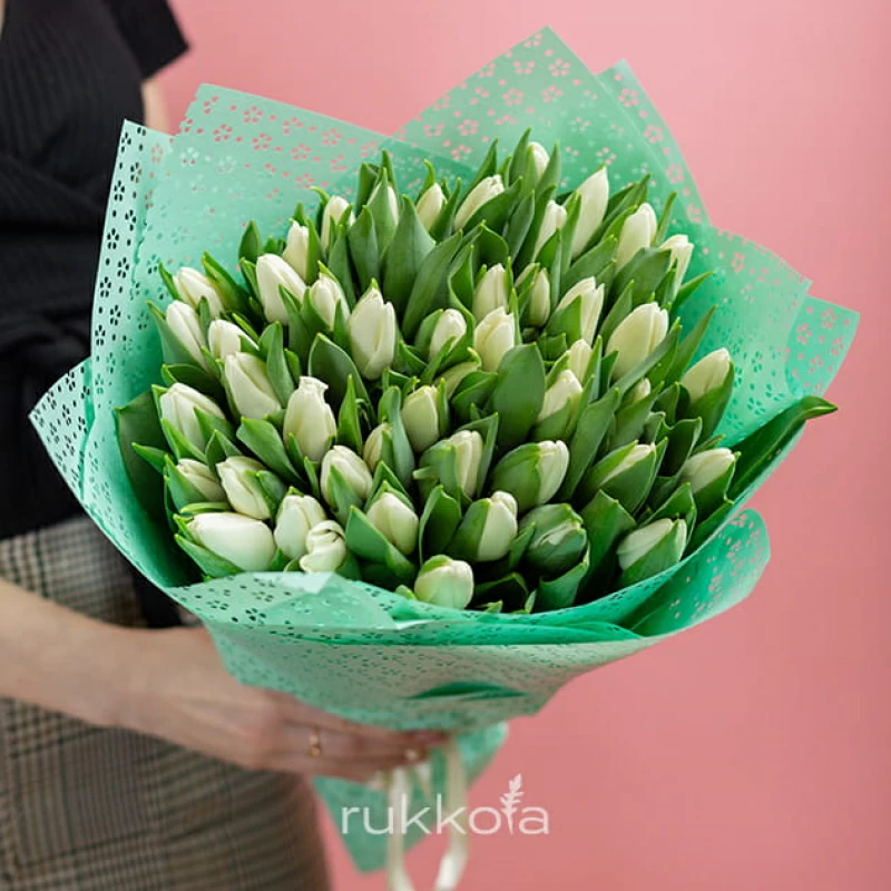 51 белый тюльпан