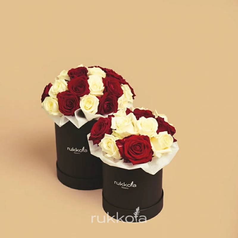 Белые и красные розы в маленькой и средней черной коробке