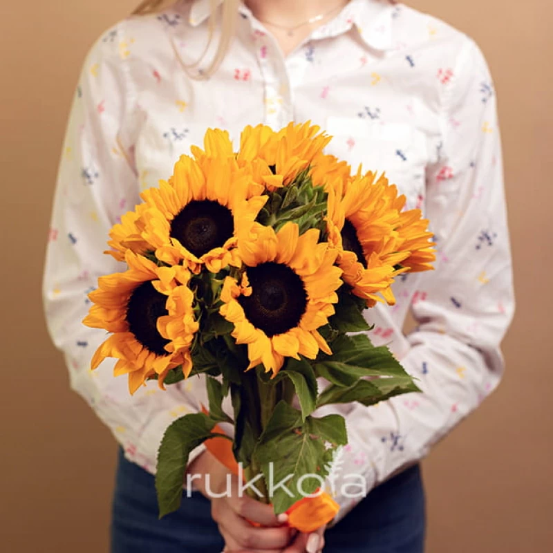 9 подсолнухов