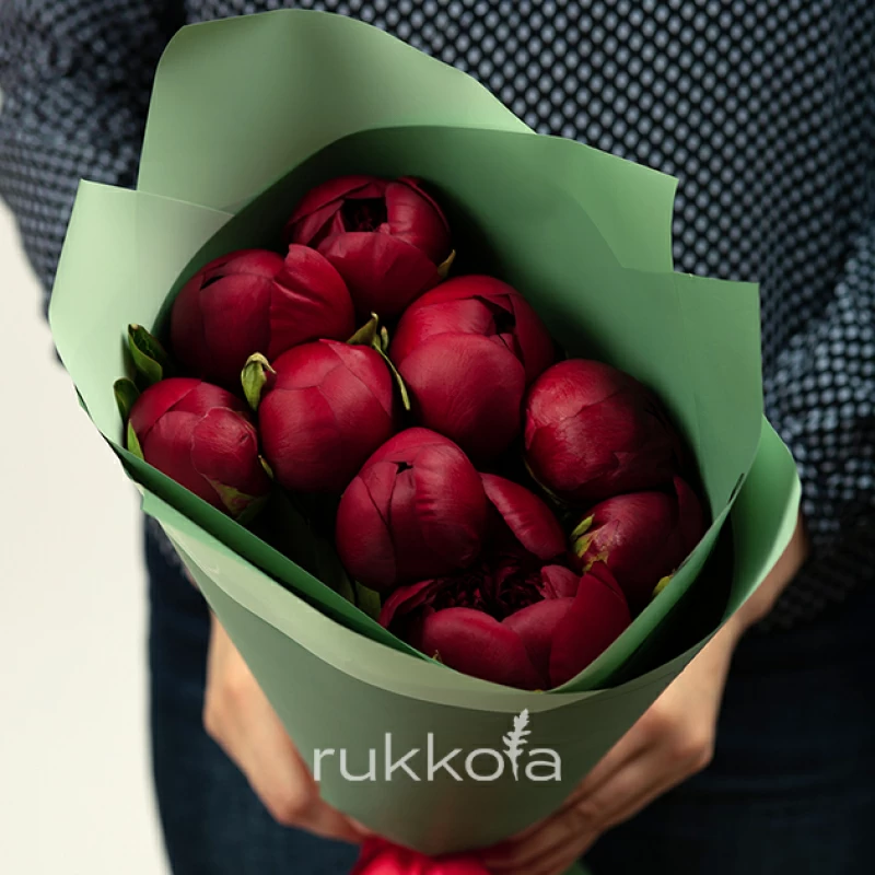 9 бордовых пионов