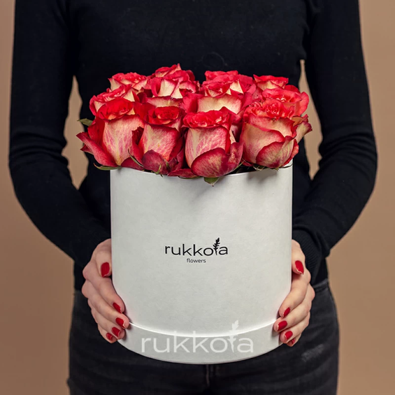 Красно-белые розы Игуана (Эквадор) в большой белой коробке