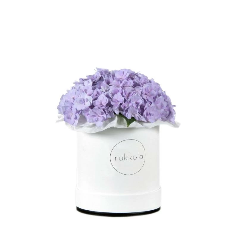 Фиолетовые гортензии в шляпной коробке