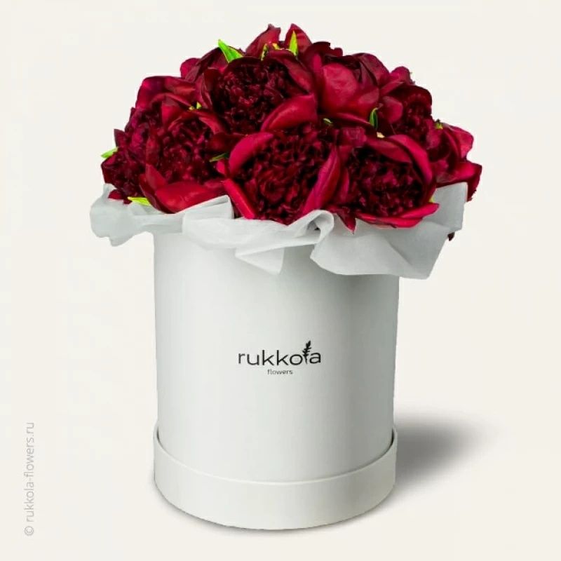 Красные пионы в белой шляпной коробке