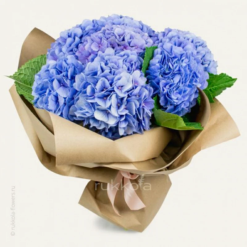Букет синих гортензий