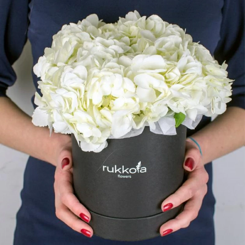 Белые гортензии в шляпной коробке
