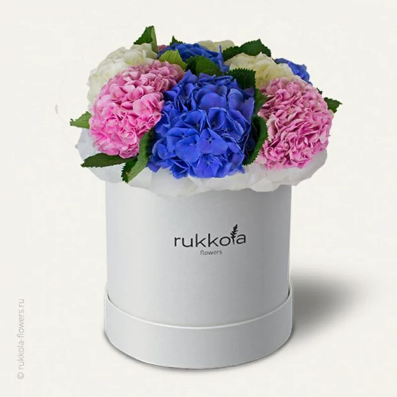 Большая коробка с гортензиями