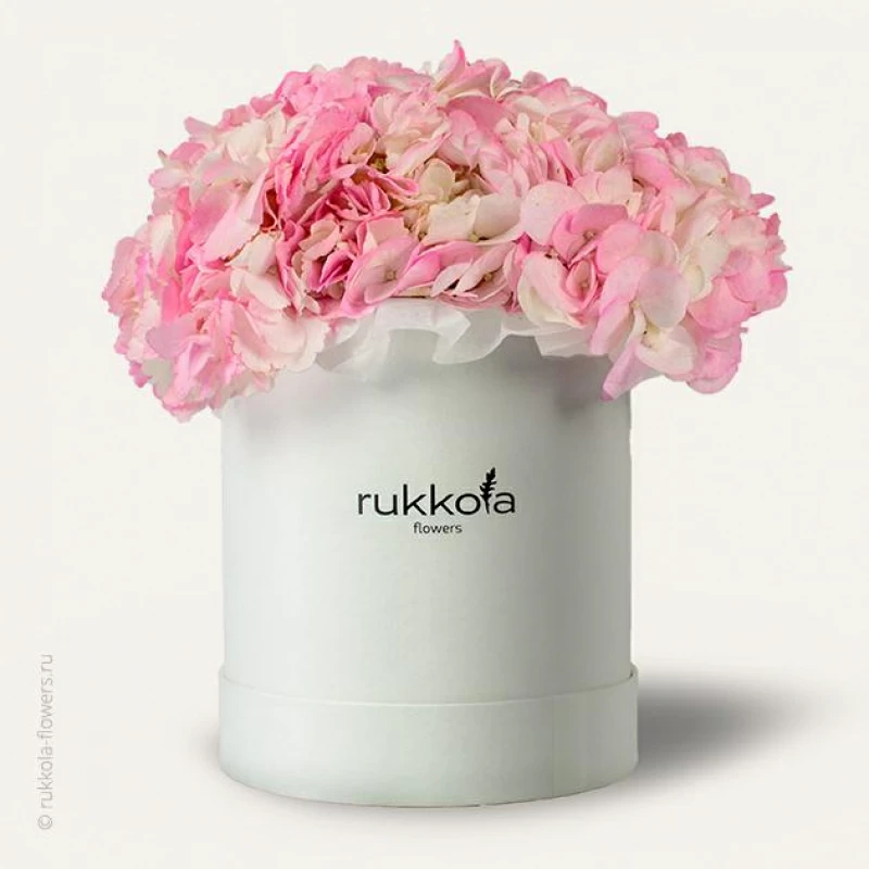Розовые гортензии в шляпной коробке