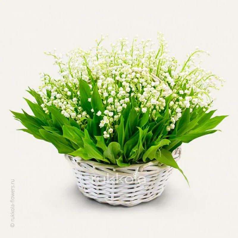 101 ландыш в корзине