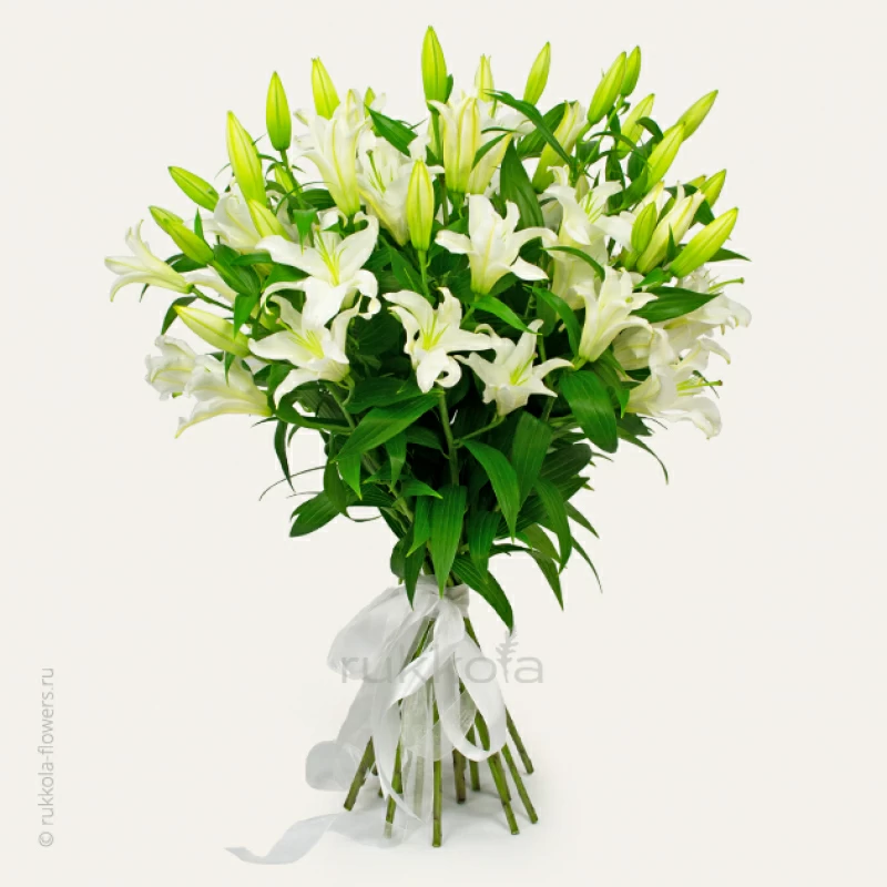 15 белых лилий
