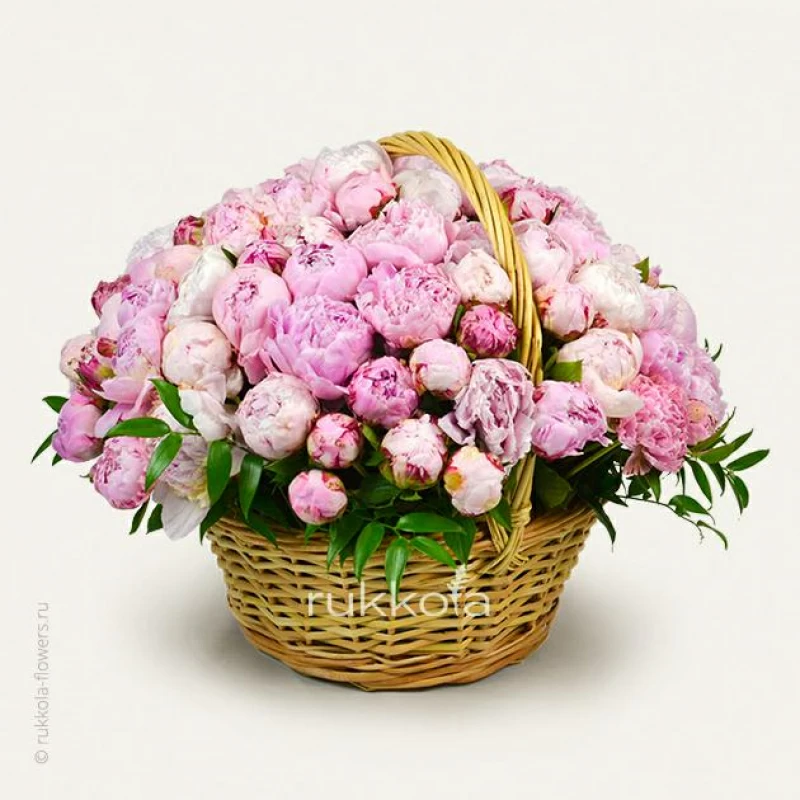 101 пион в корзине