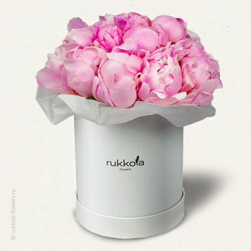 Розовые пионы в шляпной коробке
