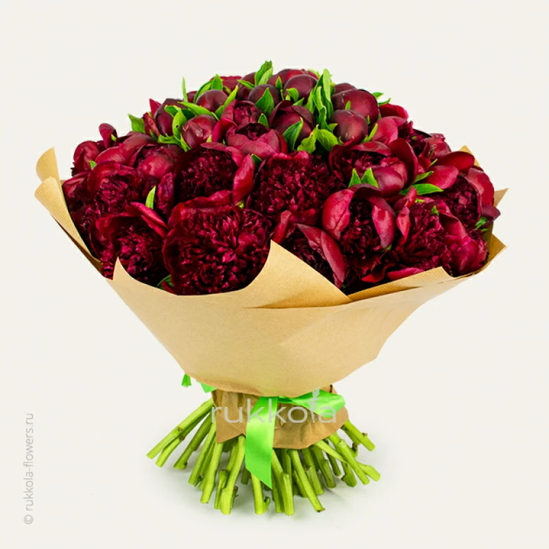 101 красный пион