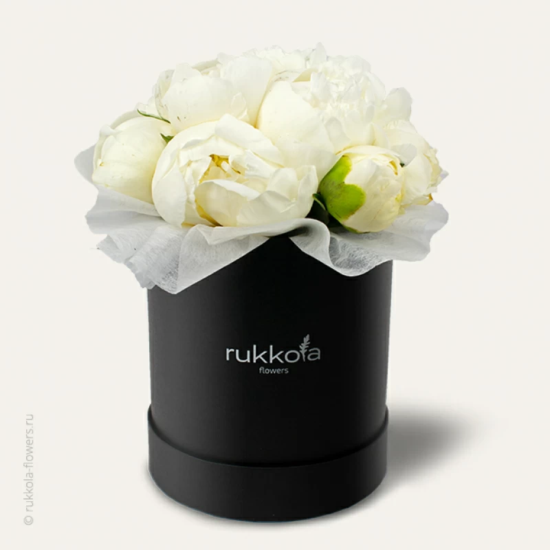 Белые пионы в черной коробке