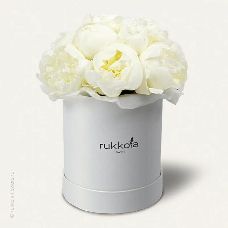 Белые пионы в шляпной коробке