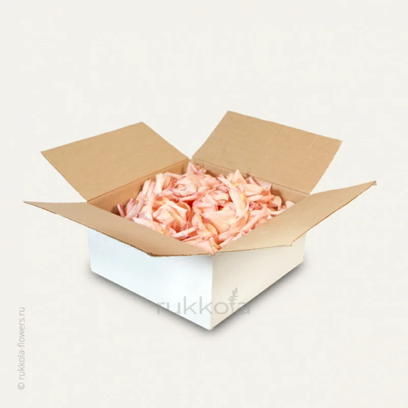 Розовые лепестки роз