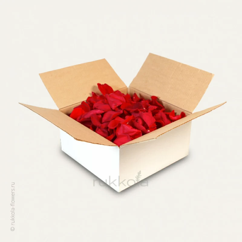 Красные лепестки роз