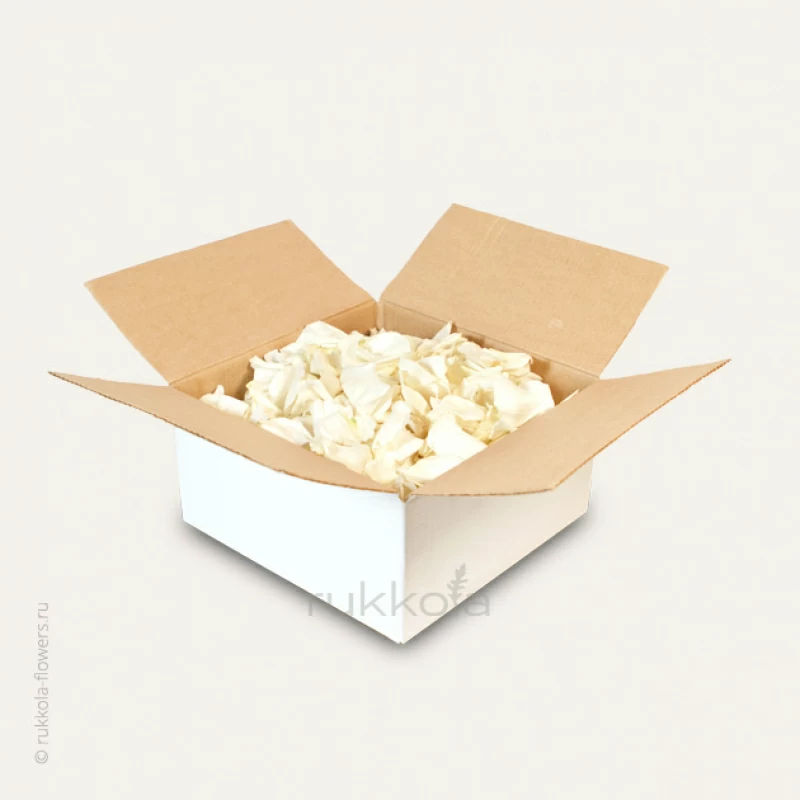 Белые лепестки роз