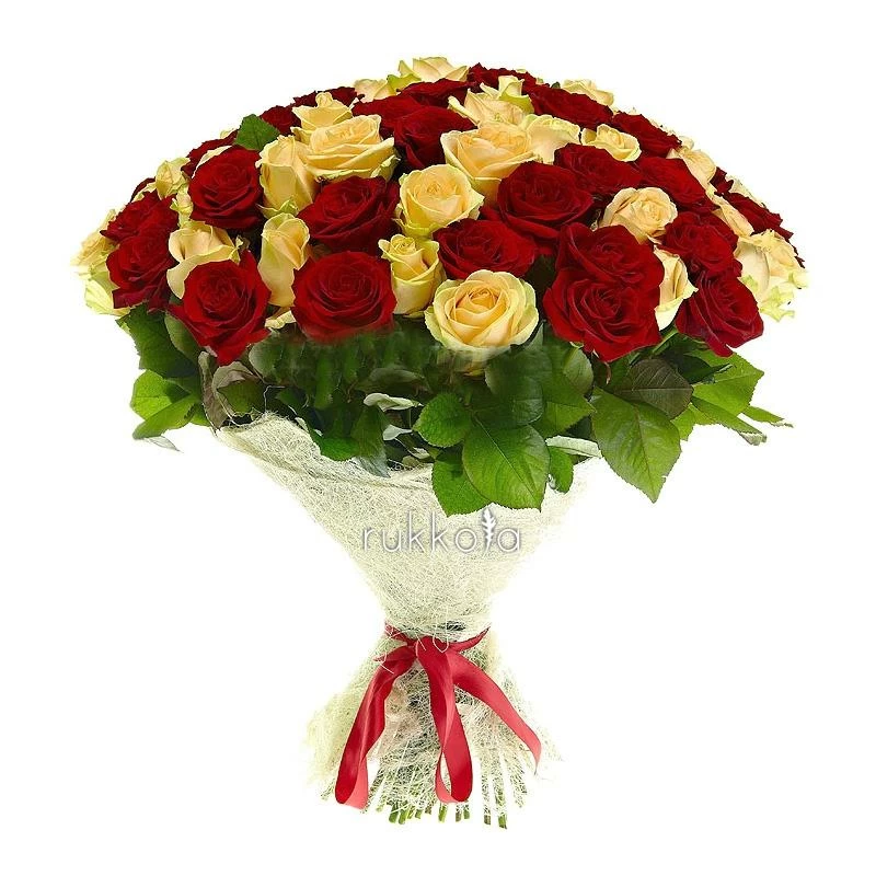 101 красная и кремовая розы