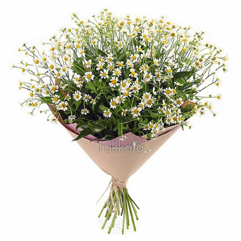 Букет ромашек с зеленью