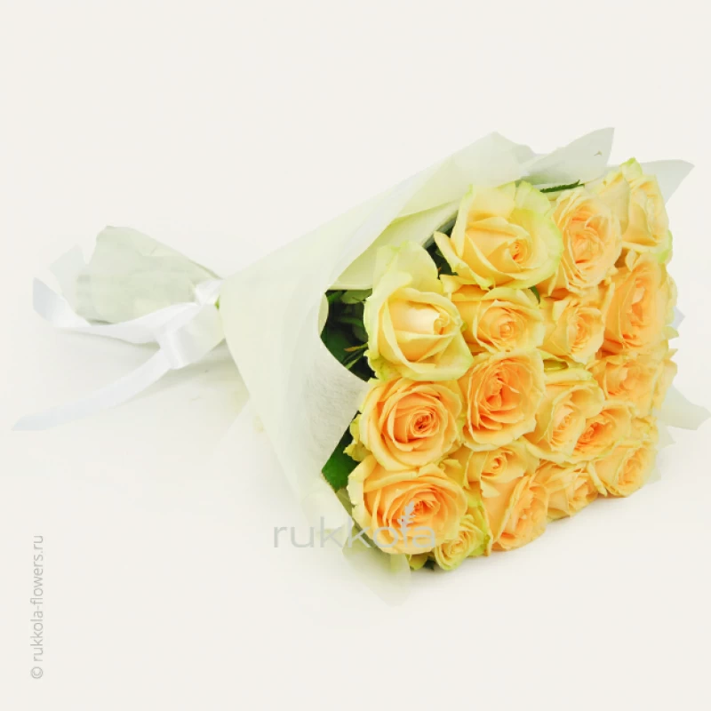 21 кремовая роза