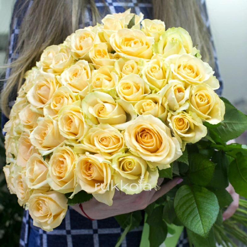 51 кремовая роза