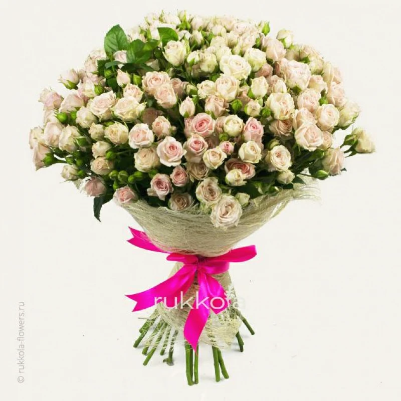 25 кремовых кустовых роз
