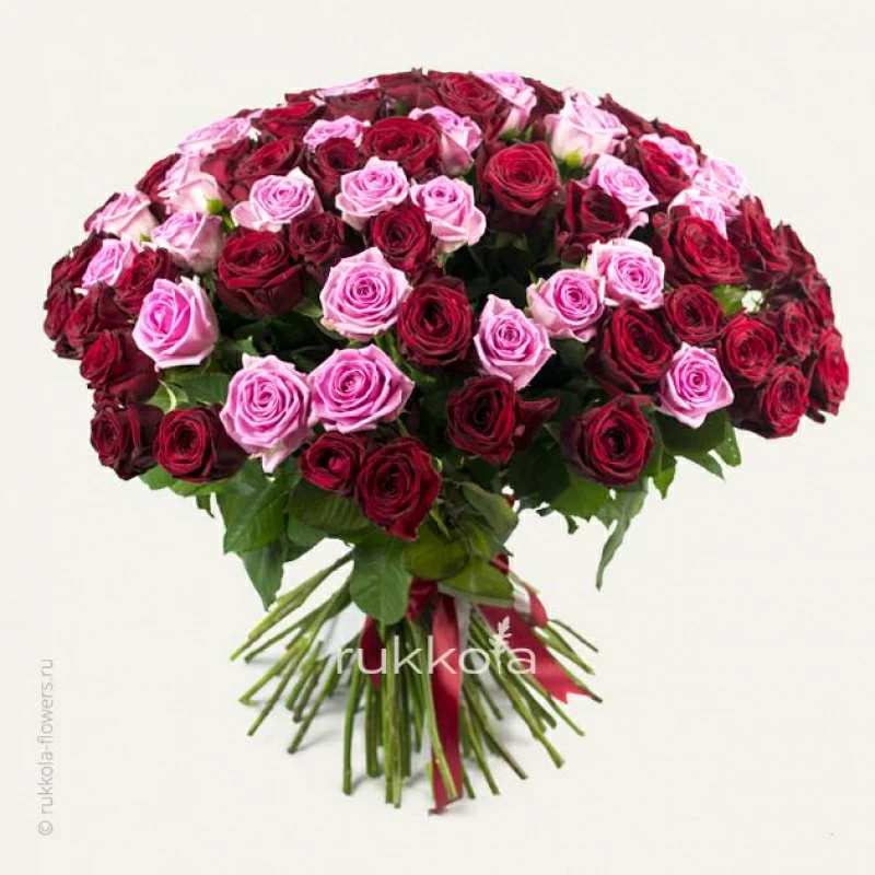 101 красная и розовая розы