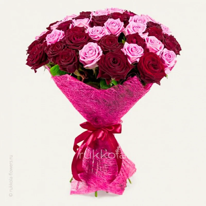 51 красная и розовая роза