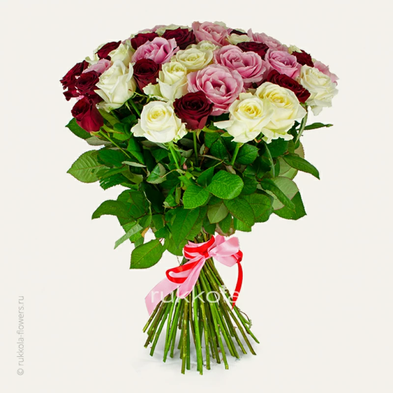 51 красная, розовая и белая роза