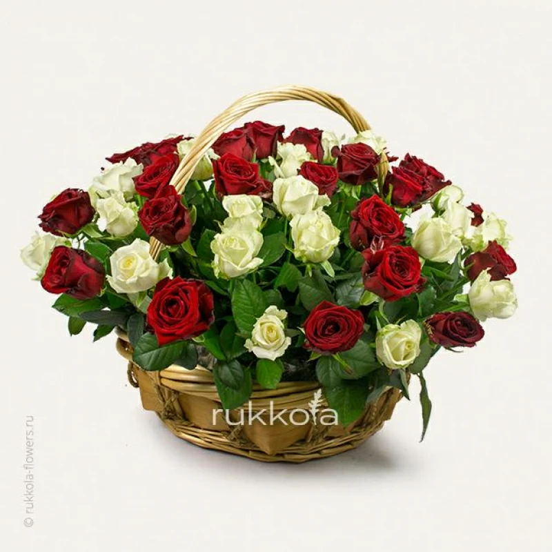 51 красная и белая роза в корзине
