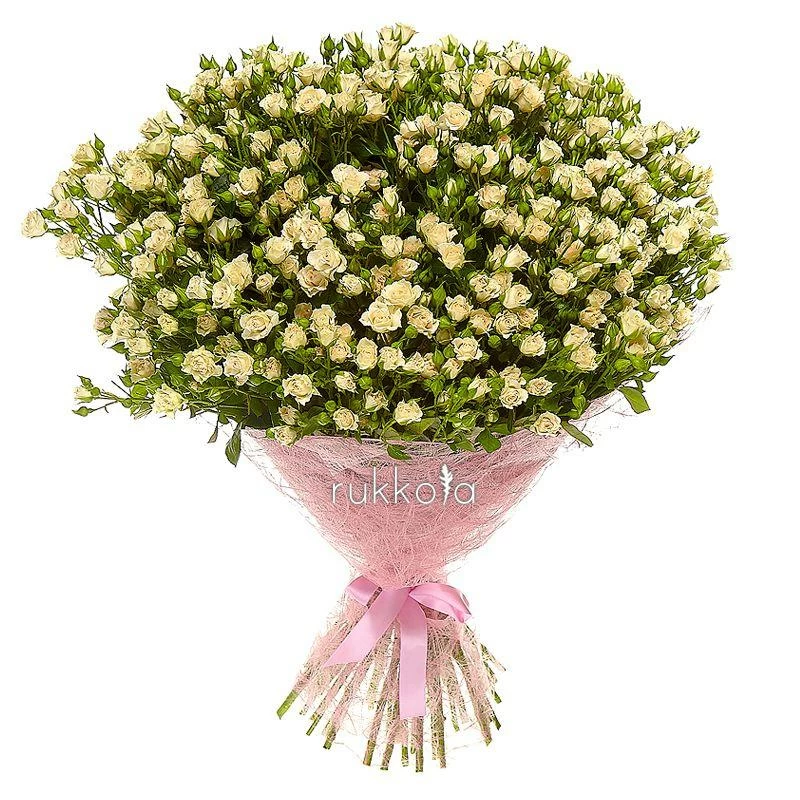 51 кремовая кустовая роза