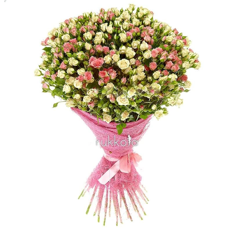 51 белая и розовая кустовая роза