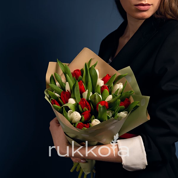 25 белых и красных тюльпанов