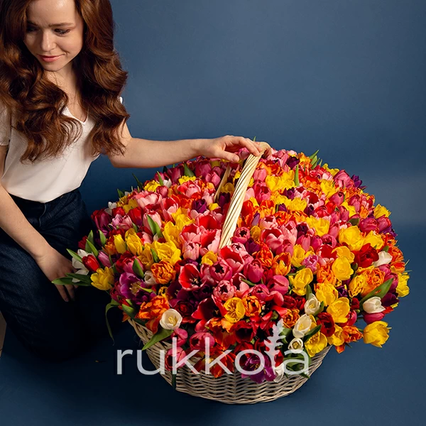 501 тюльпан в корзине