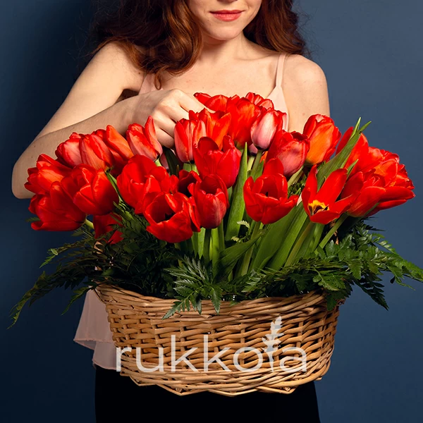 51 красный тюльпан в корзинке