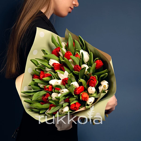 51 белый и красный тюльпан